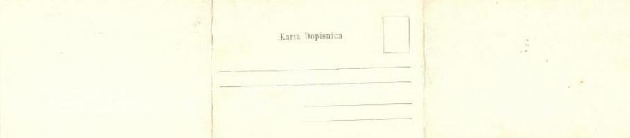 Topuszka, Topusko; Polgári és tiszti pavilonok, Iszapfürdő. Három-részes panorámalap / Civil pavilon...