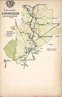 Csongrád vármegye (win Riß)