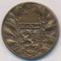 ~1900. "Magyar Athletikai Club 1875" Br érem (29mm) T:1-,2