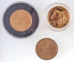 Amerikai Egyesült Államok 2000-2012. 1$ "Sacagawea" (3xklf) ebből 2db aranyozva T:1,2
USA...