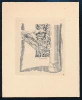 Schimek, Herbert Anton (1905-1982): Ex libris Wim van der Kuylen, rézkarc, papír, jelzett a dúcon, 7,5×6,5 cm
