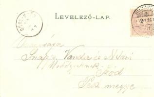 1899 Béka zenészek és énekesek / Frog music band and choir. Humour litho