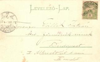 Resica, Resita; Acél és vasgyár. Kiadja Braumüller L. / iron works