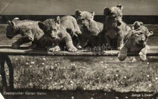 Berlin - 31 db régi képeslap érdekes darabokkal / 31 pre-1945 postcards with some interesting ones