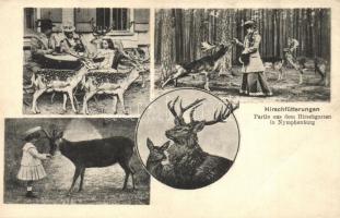 40 db RÉGI német városképes lap német gyarmati lapokkal / 40 pre-1945 German town-view postcards wit...