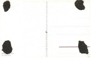 26 db RÉGI lengyel, német és ukrán városképes lap / 26 db pre-1945 Polish, Germand and Ukrainian tow...