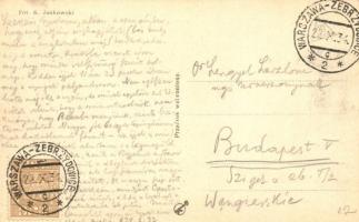 26 db RÉGI lengyel, német és ukrán városképes lap / 26 db pre-1945 Polish, Germand and Ukrainian tow...