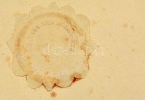 1843 Bécs látképe a cipészek céhének mesterlevelén. Fametszet, szignált. Erős hajtásnyomokkal, kis s...