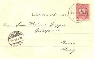 1900 Budapest, Igazságügyi Palota, József és Erzsébet körút, Vigadó, Kerepesi út, lóbusz, villamos. ...