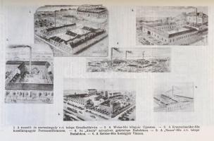 Dr. Borovszky Samu (szerk.): Magyarország vármegyéi és városai. Pest-Pilis-Solt-Kiskun vármegye. II....