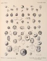 Zichy Jenő gróf kaukázusi és középázsiai utazásai. II. kötet: Pósta Béla: Az archaeologiai gyűjtemén...