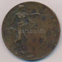 1930. "Somogy Megyei Automobil Club" kétoldalas Br emlékérem, elő- és hátlapon gravírozva ...