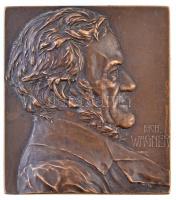 Ausztria ~1910. Wagner Br plakett, hátoldalán személyre szóló gravírozás. Szign.: Franz Stiasny (152,43g/65x58mm) T:1-,2  / Austria ~1910. Wagner Br plaque with personal engravement on back. Sign.: Franz Stiasny (152,43g/65x58mm) C:AU,XF