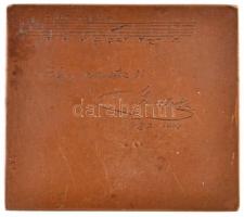 Ausztria ~1910. "Wagner" Br plakett, hátoldalán személyre szóló gravírozás. Szign.: Franz ...