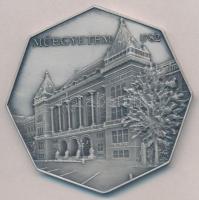 DN "BME / Műegyetem 1782" fém emlékérem (80mm) T:1-