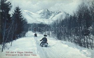 Tátra, Téli élet a Magas Tátrában, szánkózók, sport / Wintersport in der Hohen Tátra / winter sports, sledding people, bobsleigh (EK)