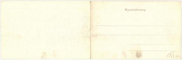 Budapest. Dunai panoráma az épülő felállványozott Erzsébet híddal / panoramacard with the Elisabeth ...