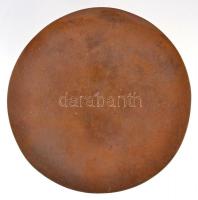 DN "Wessely László Műfordítói-díj" Br plakett (93mm) T:2