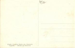 Cegléd, Horthy Miklós nyilv. jell. kórház parkja és főépülete, betegek az udvaron. Czeglédy Sándor u...