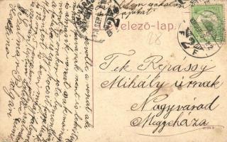 Szatmárnémeti, Satu Mare; Irgalmas Nővérek háza, zárda, utcakép, üzlet. No. 236. / nunnery, street v...