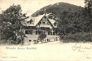 1903 Kovácspatak, Kovacov; Otthon villa / villa (EK)