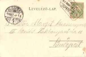 1903 Kovácspatak, Kovacov; Otthon villa / villa  (EK)