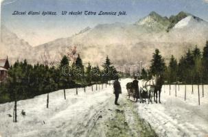 Tátra, Út Tátralomnic felé télen, lovasszán. Lőcsei állami építész / road to Tatranska Lomnica in winter, horse sleigh