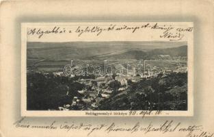 Szilágysomlyó, Simleu Silvaniei; látkép. W. L. Bp. 7112. Schwarcz E. és Társa kiadása / panorama view (EK)
