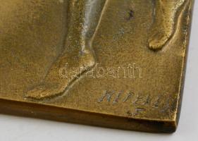 Kerekes Ferenc (1948-2001): Női akt. Bronz relief, jelzett, 23×8 cm