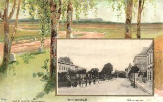 Nagyszeben, Hermannstadt, Sibiu; Schewisgasse / Schewis utca. Carl F. Jickeli kiadása, szecessziós litho keret / street view. Art Nouveau litho frame (r)