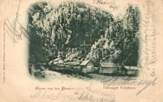 1899 Bisztra, Bistra; Gilesager Forsthaus / Erdészlak. Jos. Hientz kiadása / foresters house (EK)