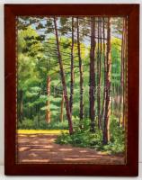 Cholnoky Jenő (1870-1950): Erdő részlet. Akvarell, papír, jelzett, üvegezett keretben, 33×25 cm