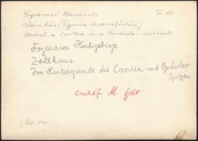 cca 1910 Fogarasi-havasok, vámház, Erdélyi Mór felvétele, hátulján feliratozva, pecséttel jelzett, 1...