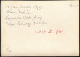 cca 1910 Fogarasi-havasok, Negoj, Erdélyi Mór felvétele, hátulján feliratozva, pecséttel jelzett, 11...