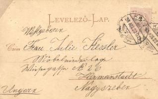 1898 Budapest I. Alagút Budán (apró lyukak / tiny holes)