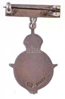 Nagy-Britannia DN "Per Ardua ad Astra" zománcozott, jelzett Ag RAF jelvény (5,95g/20x28mm)...