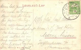 Torontáltószeg, Nagytószeg, Novi Kozarci; Fő utca, templom, üzlet. W. L. 1384. / main street, church...