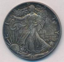 Amerikai Egyesült Államok 1987. 1$ Ag "Amerikai Sas" (1oz/0.999) T:1-,2 patina
USA 1987. ...
