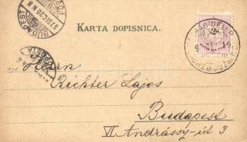1897 (Vorläufer!) Zagreb, Akademicki Trg, Zrinjski Trg, Spomenik Jelacica Bana, Hrvatsko Narod. Zem....