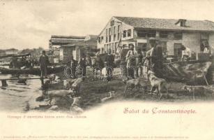 Constantinople, Istanbul; Groupe d'ouvriers turcs avec des chiens / Group of Turkish workers with dogs (r)