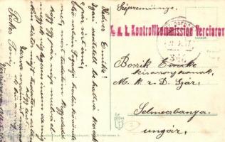 Orsova, Dunai hajóállomás / port on the Danube + K.u.K. Kontrollkommission Verciarova