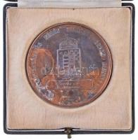 1907. "Ferenc József / Az állattenyésztés terén szerzett érdem elismeréseül" Br díjérem gr...