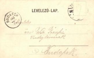 1903 Temesvár, Timisoara; Józsefváros, Siketnéma intézet / Iosefin, deaf-mute institute