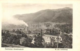 Zalatna, Zlatna; M. kir. kohótelep. Folberth Vilmos kiadása / iron works, furnace