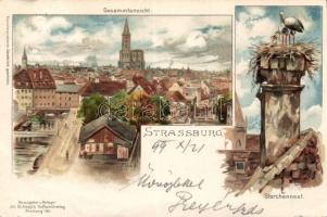 1899 Strasbourg, Storchennest / stork nest litho