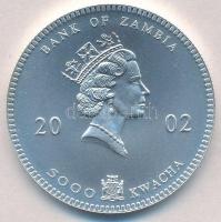 Zambia 2002. 5000K Ag "Afrikai vadak - Elefántok" T:BU
Zambia 2002. 5000 Kwacha Ag "...
