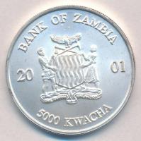 Zambia 2001. 5000K Ag "Afrikai vadak - Elefánt és borja" T:BU
Zambia 2001. 5000 Kwacha Ag...