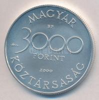 2000. 3000Ft Ag "Veszélyeztetett állatvilág - hód" T:BU Adamo EM165