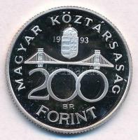 1993. 200Ft Ag "MNB" T:PP apró fo.
Adamo F13