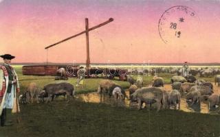 Hortobágy - 8 db régi képeslap, folklór